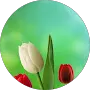  Karmrajsinh Vaghela's Comment